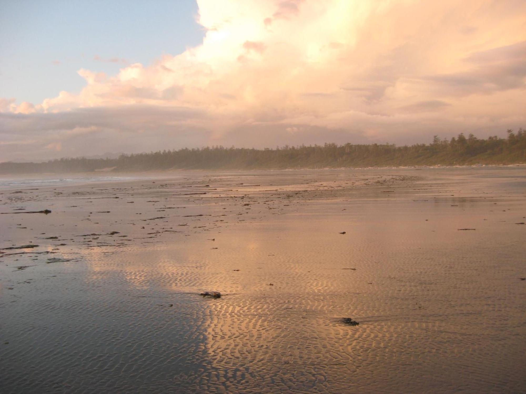Moon And Sixpence Bed & Breakfast Ucluelet Dış mekan fotoğraf